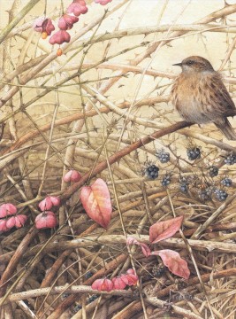 花 鳥 Painting - 自然 冬鳥